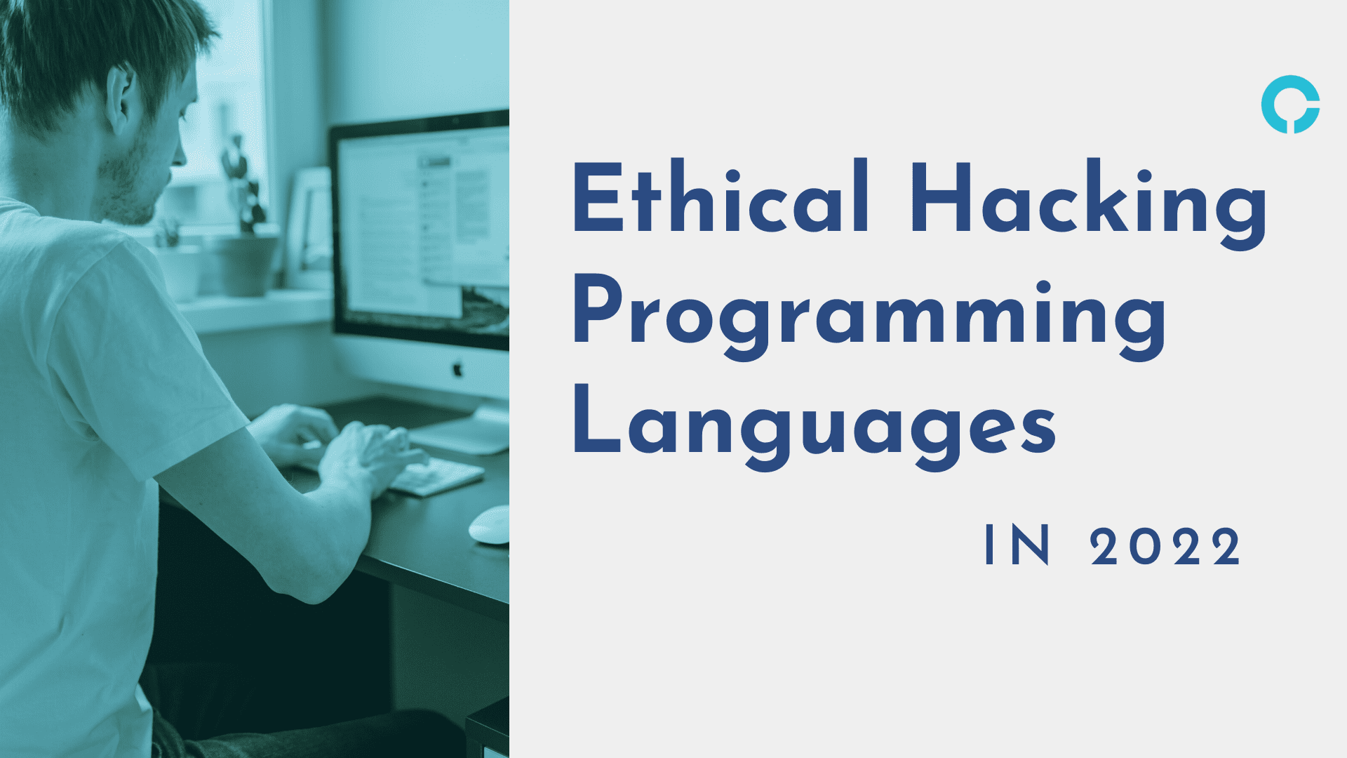 hacking-programming-languages-in-2022
