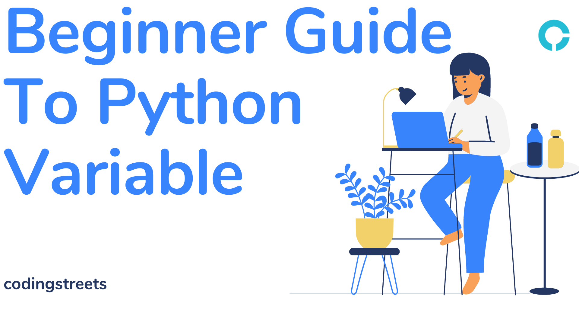 A Beginners Guide To Python Variables 4730